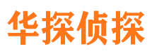 东城市侦探公司